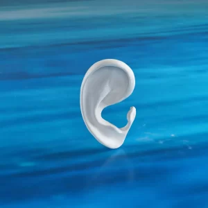 Auricular Base Frame