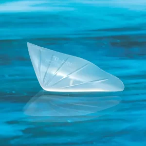 Vertical Mandibular Angle